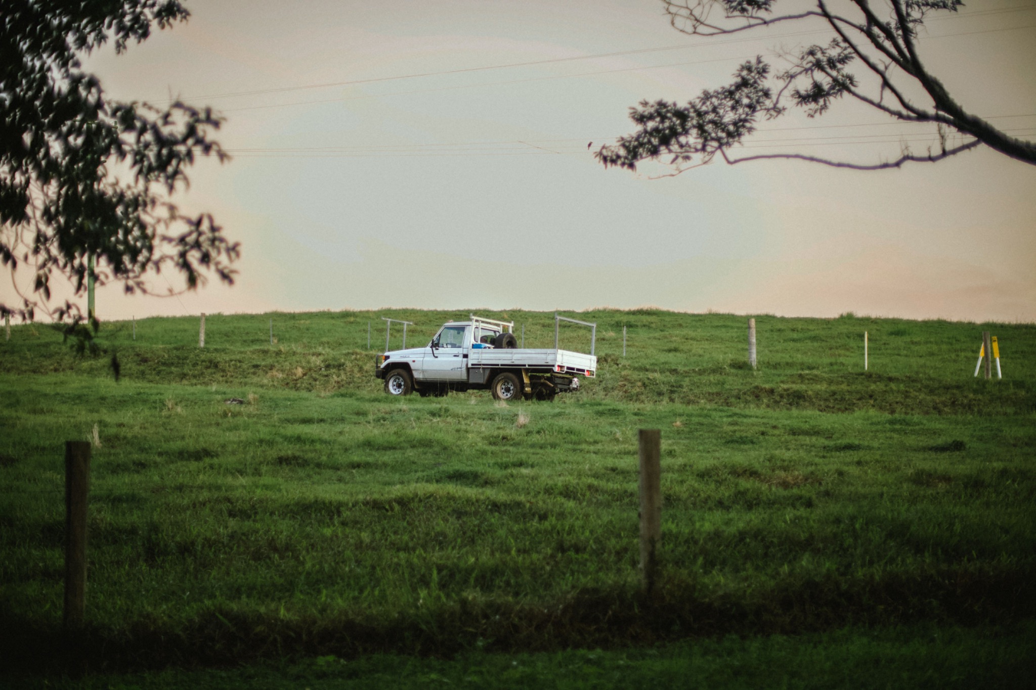 A farm utility vehicle in a green paddock