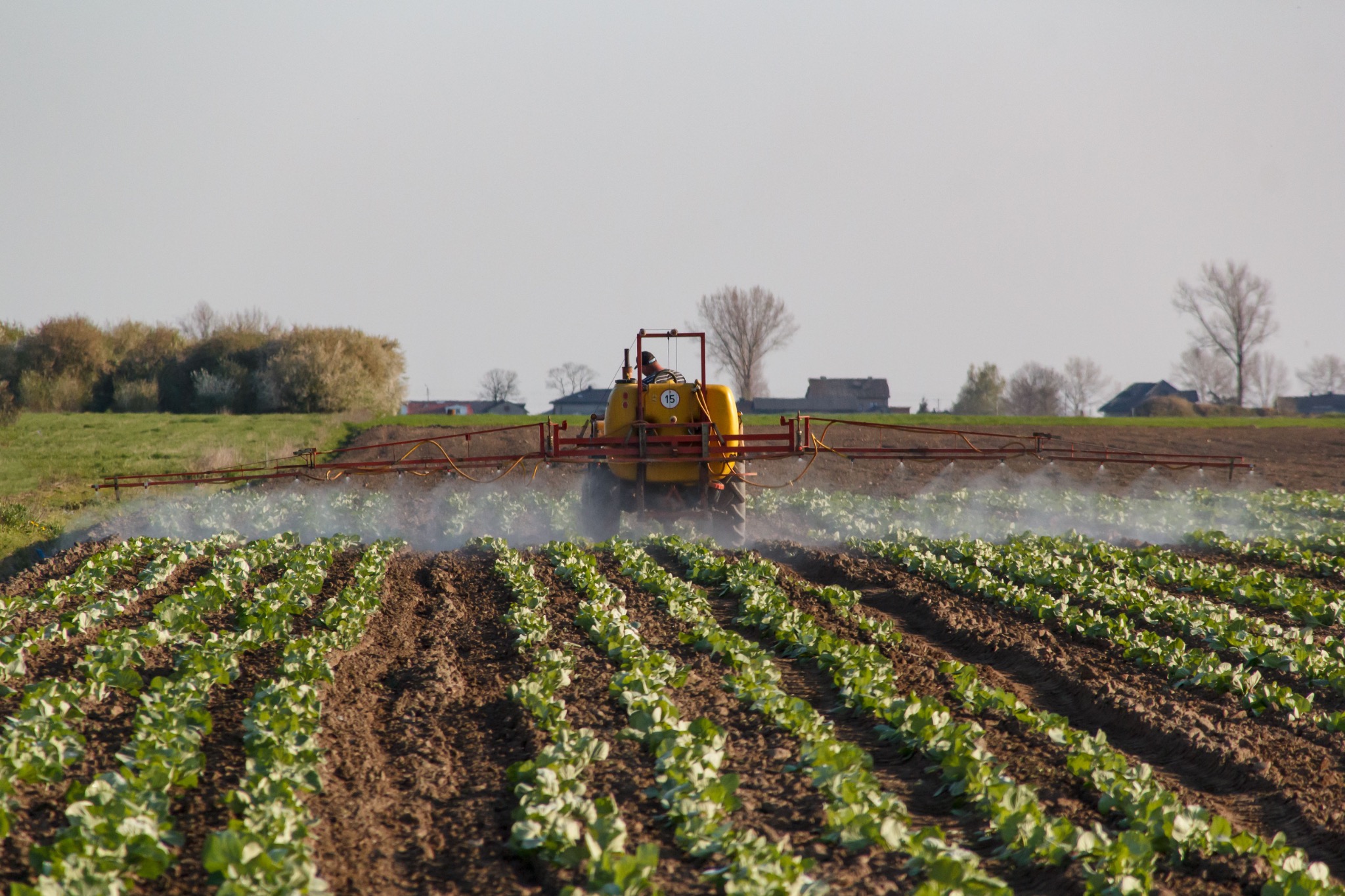 Agricultural machinery working across rows of crops
